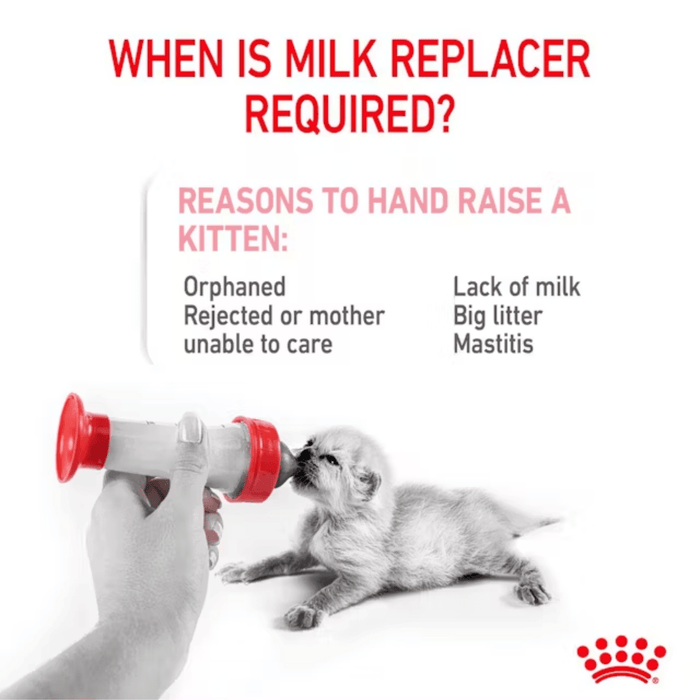 White background with a small white kitten being bottle fed pictured. The title above in red says 'When is milk replacer required' Below text says 'Reasons to hand raise a kitten', 'Orphaned, Rejected or mother unable to care, Lack of milk, Big litter, Mastitis'.