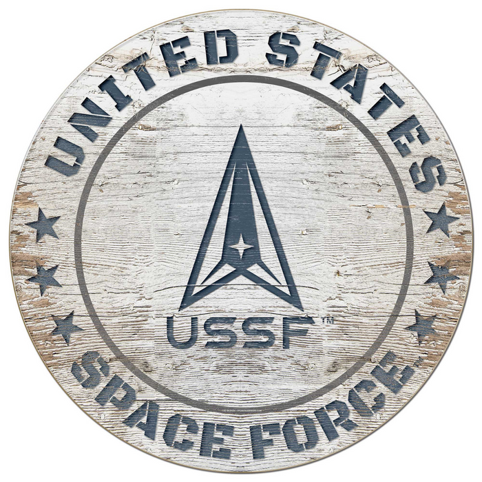 United States Space Force Painted Circle (20 inch diameter)*