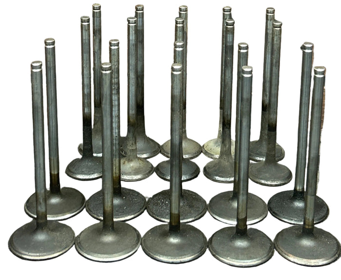 2003-2006 Dodge Viper SRT10 Intake & Exhaust Valve Set Of 20 OEM SRT-10 Used