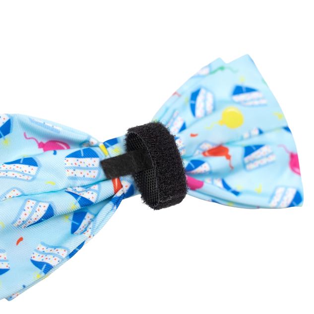 BIRTHDAY-BLUE-DOG-BOW-TIE