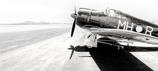 Photography |  CA31 Boomerang |  Wide Format | by Nick Psomiadis
