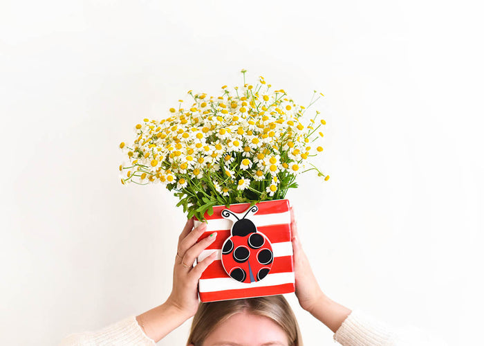 COTON COLORS - Ladybug Attachment