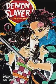 Demon Slayer Kimetsu No Yaiba Vol. 1 Comics NEW Diamond Comic Distributors, Inc.