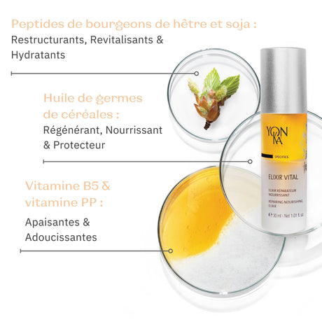 Elixir Vital Repairing Face Oil | Yon-Ka Paris bottle alongside close-ups of natural skincare ingredients including beech and soybean bud peptides, cereal germ oil, and vitamins B5 and PP.
