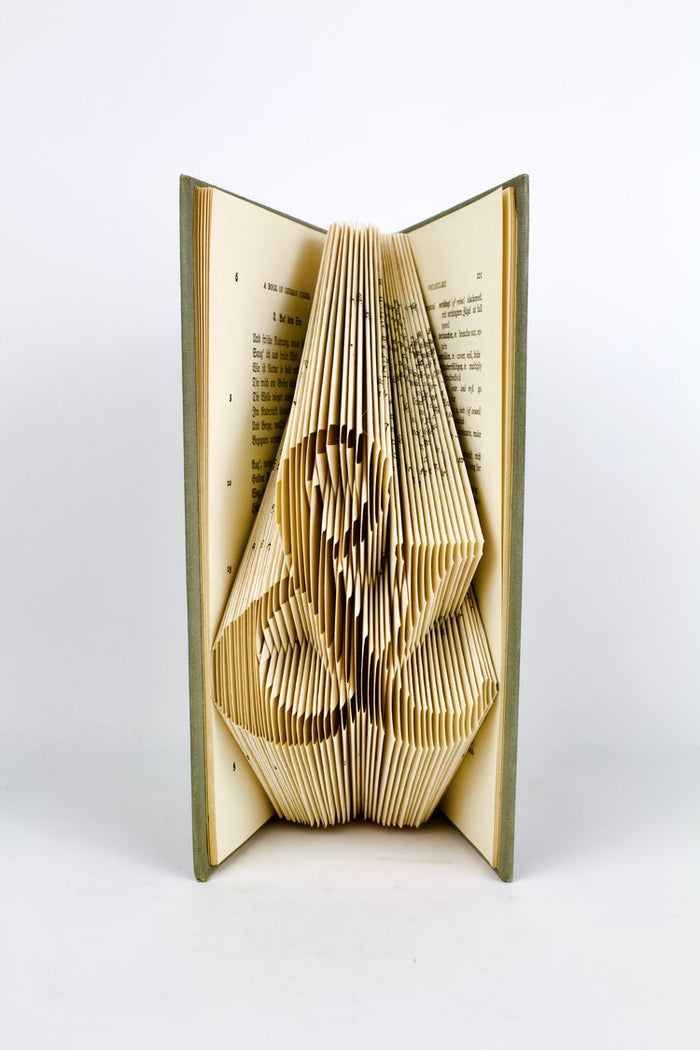 Fiction Reshaped - DIY Folded Book Kit