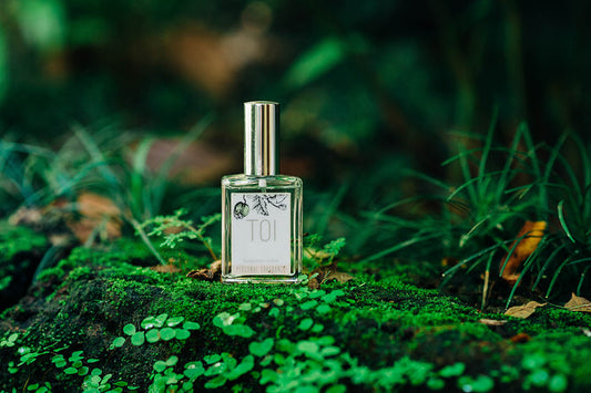 Finch TOI Fragrance