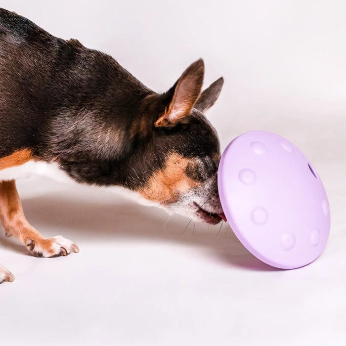 Awoo Flying Saucer Toy