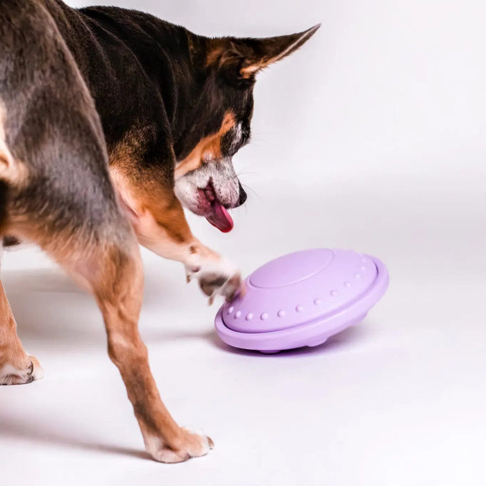Awoo Flying Saucer Toy