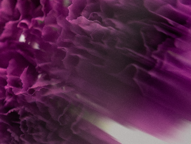 Magnesium Spray | Lavender