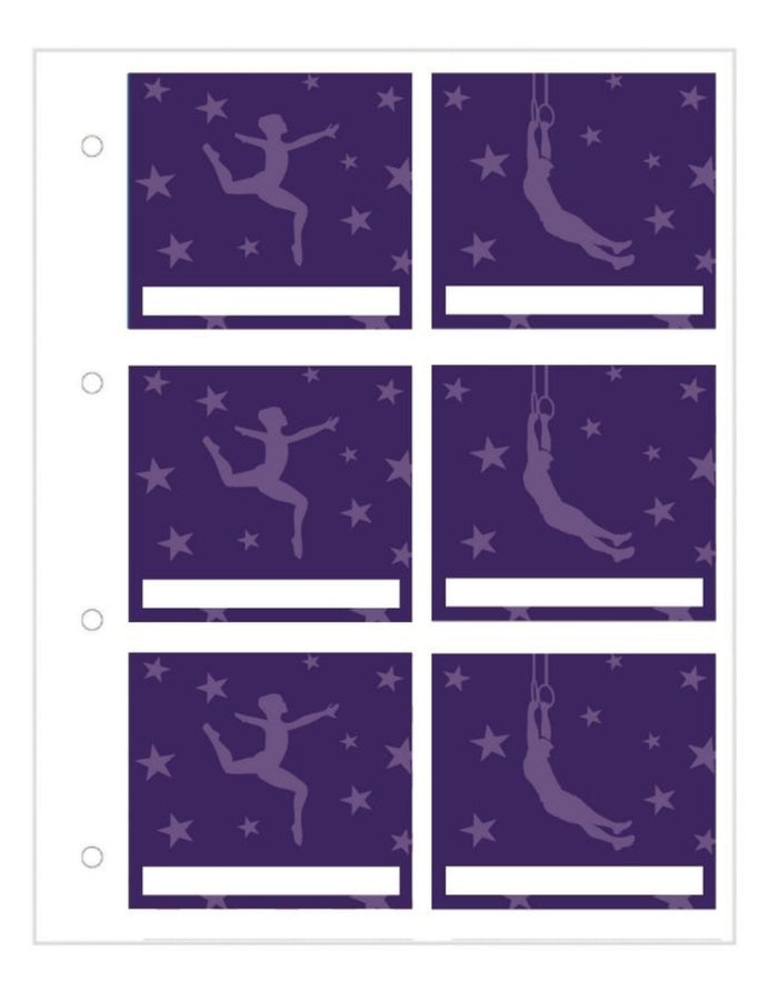 Lavender gymnastics stickers in My Proud Moments case with padded handle