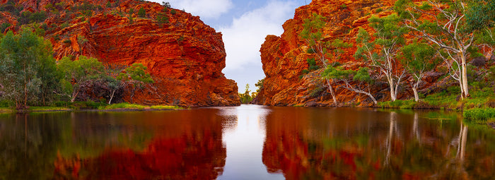 Outback Oasis | Super Wide Format | by Nick Psomiadis