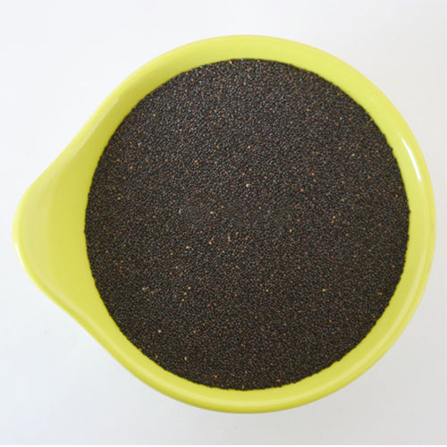 Plectranthus-Scutellarioides-Coleus-Seeds