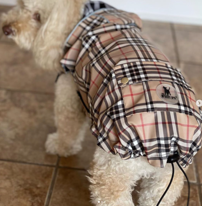 BIAS-PLAID-TAN-DOG-RAIN-JACKET-COAT