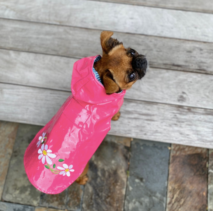 RAINCOAT-DOG-SLICKER-PINK-DAISY