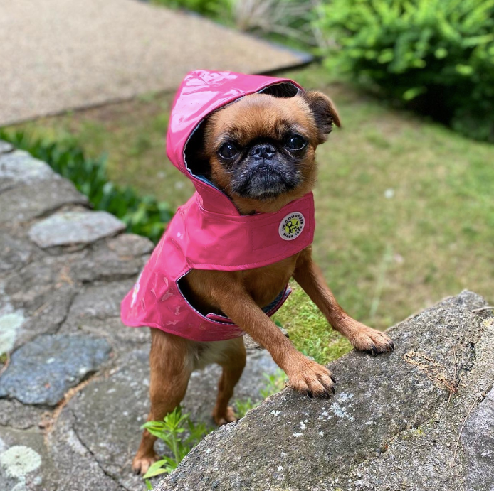 RAINCOAT-PINK-DAISY