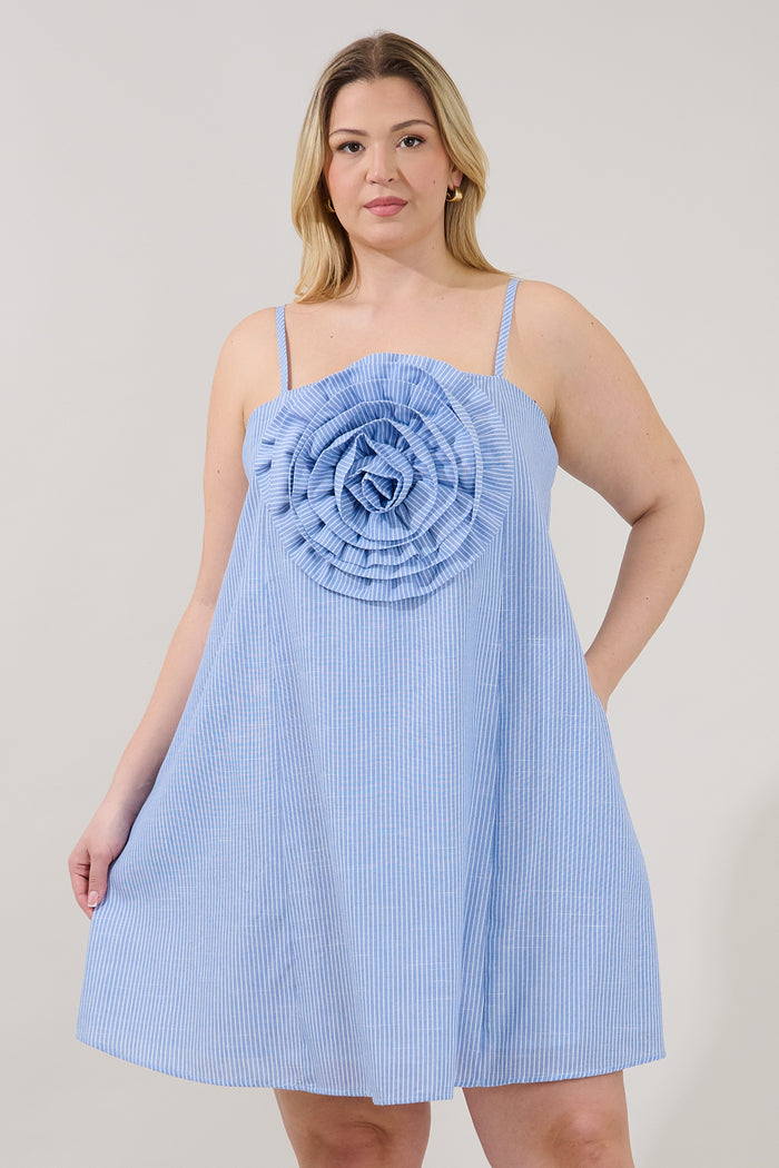 Raisley Rose Shift Mini Dress Stripe Curve
