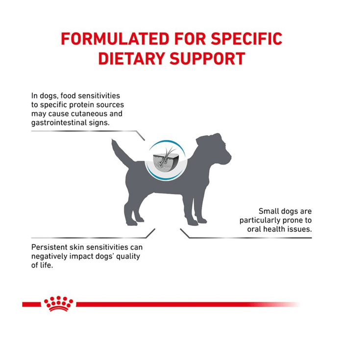 White background with a silhouette of a small terrier dog in the centre, around the dog is text reading 'Formulated for specific dietary support, In dogs, food sensitivities to specific protein sources may cause cutaneous and gastrointestinal signs, Small dogs are particularly prone to oral health issues, Persistent skin sensitivities can negatively impact dogs' quality of life.'