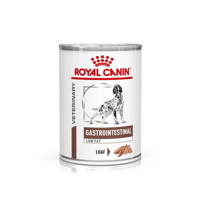 White background with a tin of Royal Canin Gastrointestinal Low Fat Loaf for dogs. A English Setter dog is pictured on the tin with text below reading 'Gastrointestinal, Low Fat, Loaf'.
