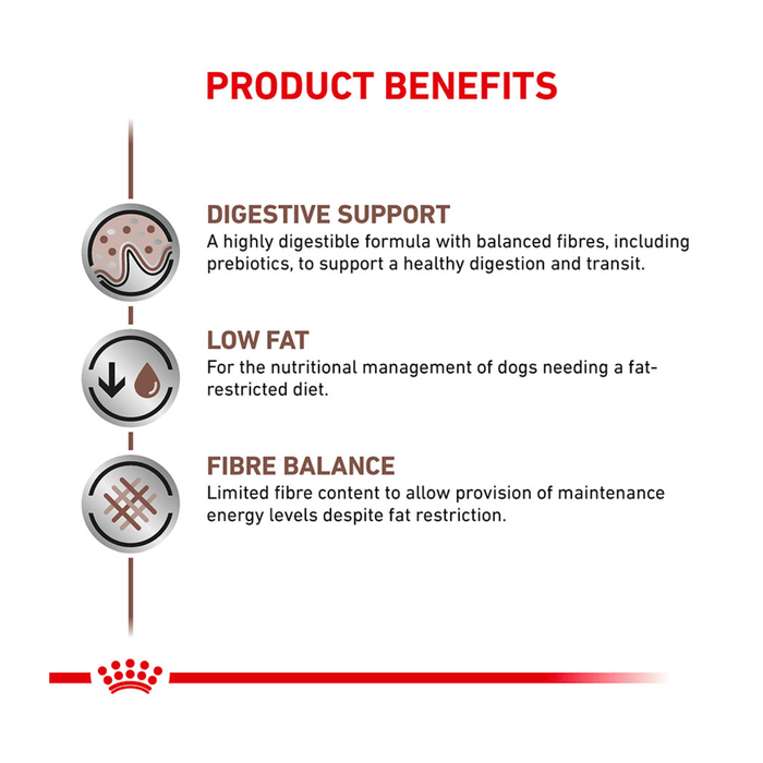 White background with text 'Product Benefits' below details the benefits of Royal Canin Gastrointestinal Low Fat loaf. 'Digestive Support - A highly digestible formula with balanced fibres, including prebiotics, to support a healthy digestion and transit, Low Fat - For the nutritional management of dogs needing a fat-restricted diet, Fibre Balance - Limited fibre content to allow provision of maintenance energy levels despite fat restriction.'