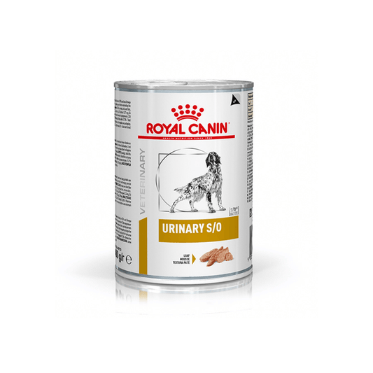 White background with a tin of Royal Canin Urinary S/O for dogs. A English Setter dog is pictured on the tin with text below reading 'Urinary S/O, Loaf'.