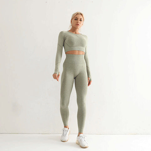 SA304 - Seamless Long Sleeve High Waist Workout Suit