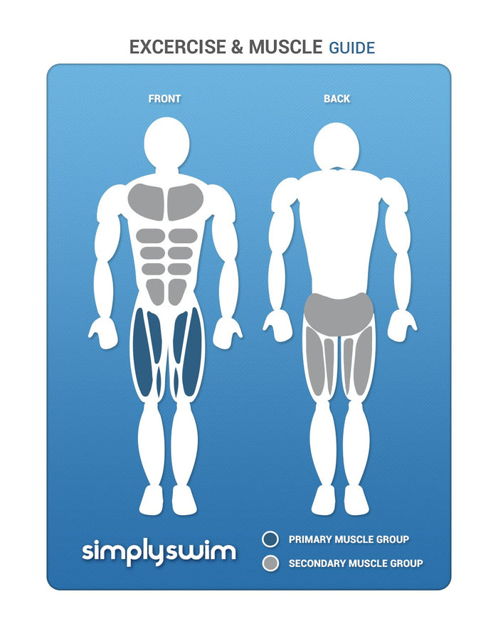 Simply Swim adult kickboard with blue white muscle guide poster