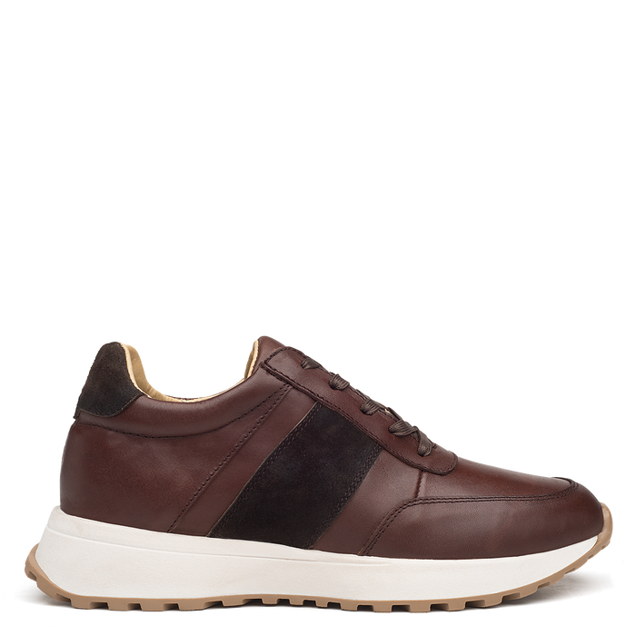 Tenis Carter Café