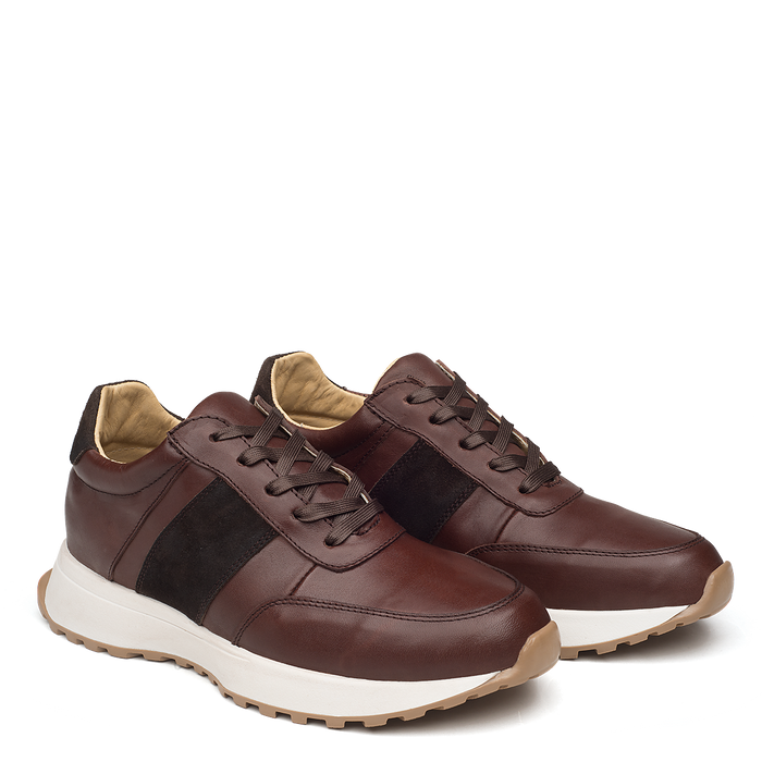 Tenis Carter Café