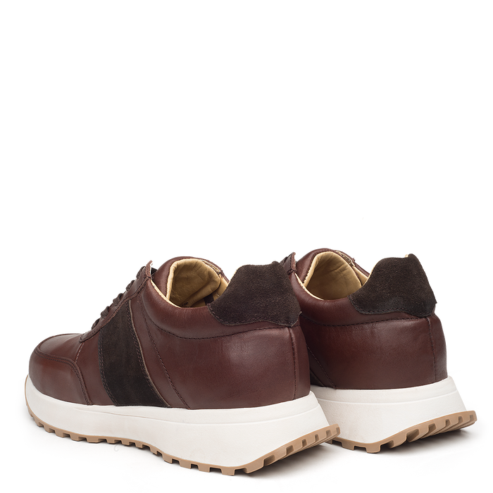 Tenis Carter Café