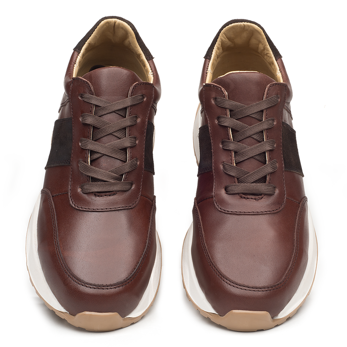 Tenis Carter Café