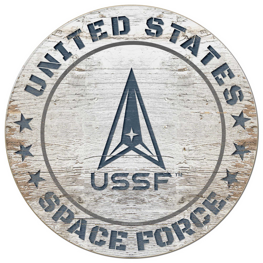 United States Space Force Painted Circle (20 inch diameter)*